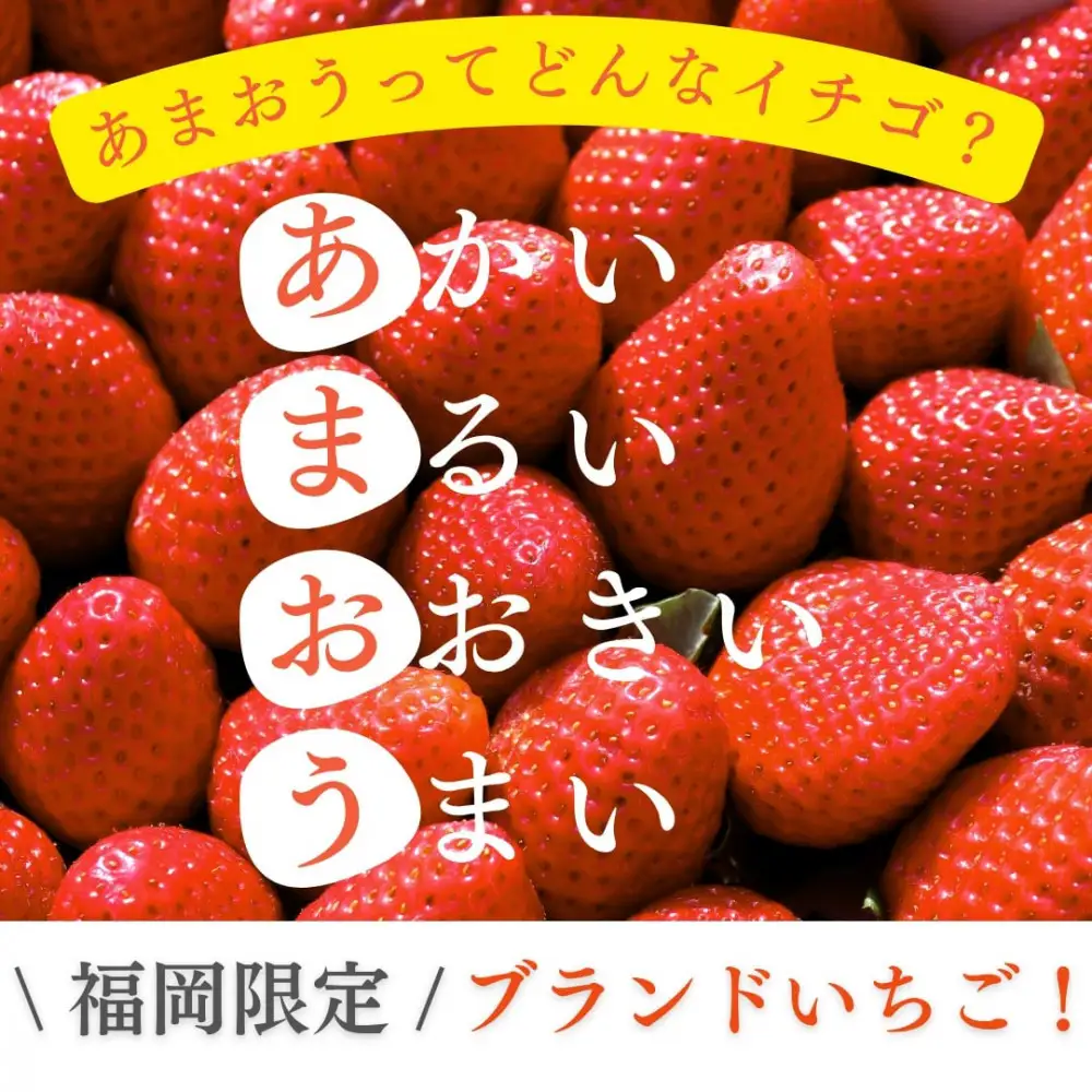 【福岡スイーツ自然の贈り物】かわいい化粧箱入り！福岡県産冷凍あまおう合計3kg(500g×6袋)