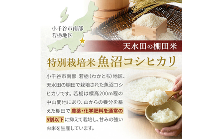 ※使用しない W10P436 【数量限定 令和6年産】わかとち産 魚沼コシヒカリ 特別栽培 棚田米 特選 2kg 箱入 生産者限定 贈答 白米 魚沼 新潟