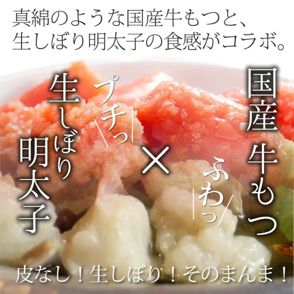 博多明太醤油もつ鍋セット 2～3人前 B024R