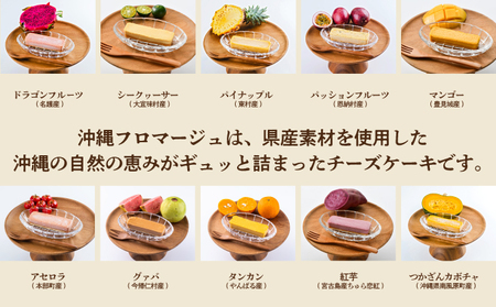 お菓子 沖縄フロマージュ１０種のチーズケーキ 1箱