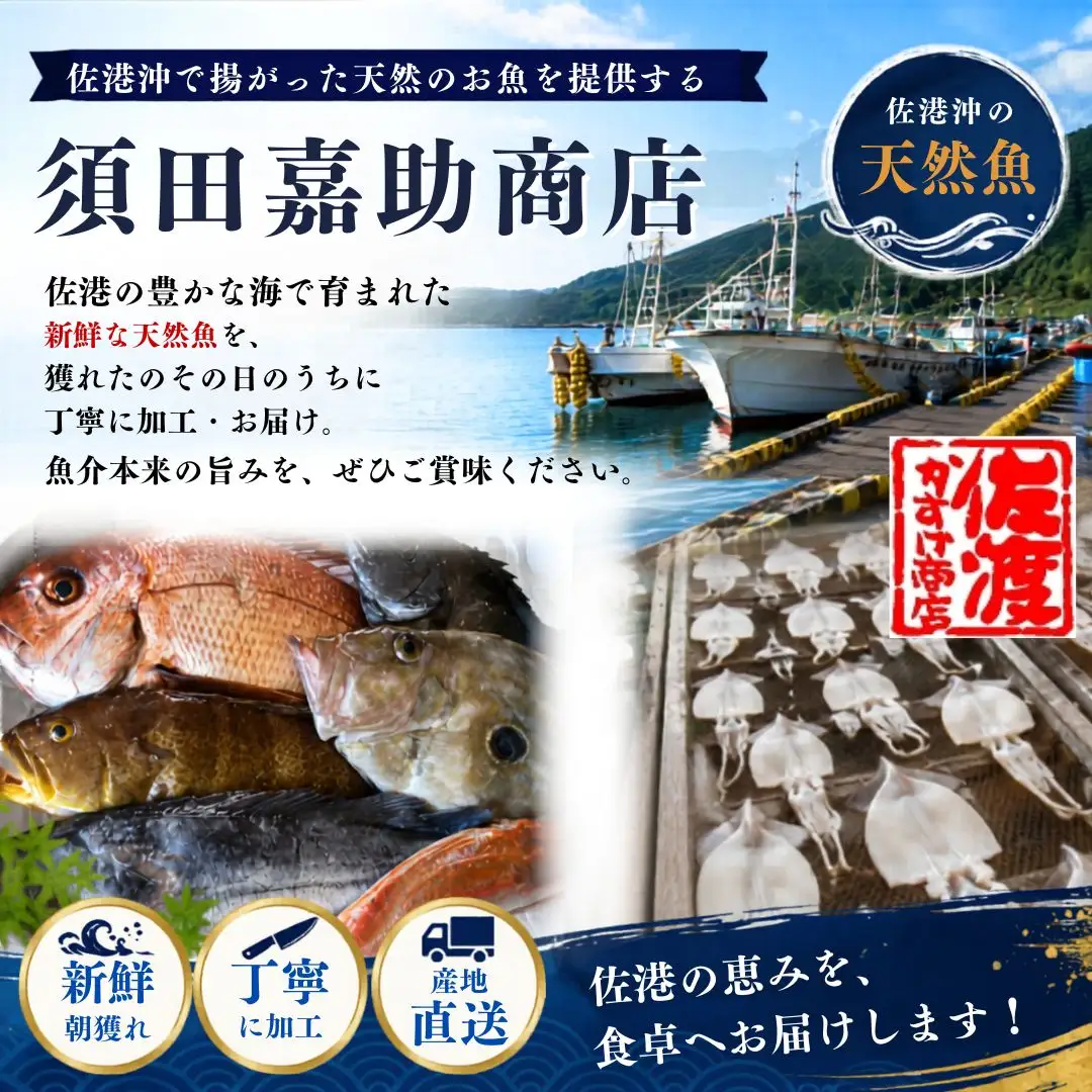 魚 詰め合わせ 5kg | 新潟県 佐渡市 鮮魚