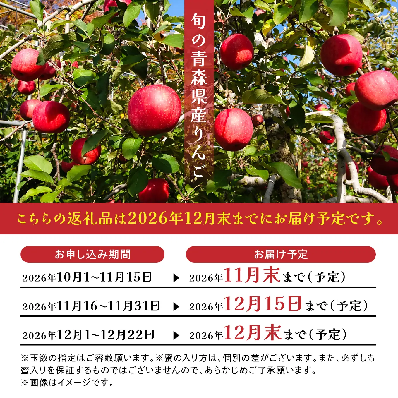 【期間限定】年内にお届け！青森県産 サンふじ 3kg りんご 年内配送 家庭用 贈答用