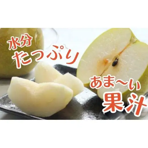 【2026年先行予約】 梨 幸水 5kg （茨城県共通返礼品・かすみがうら市産） ／ 梨 なし 果物 フルーツ 先行予約 幸水 5kg