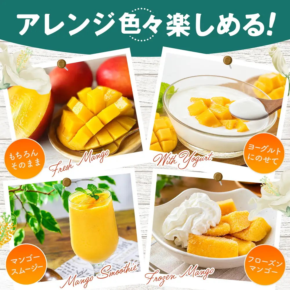 名もなきマンゴー 詰め合わせ 約500～600g　大きさ不揃い  ／ マンゴー 果物 国産 フルーツ 完熟 詰合せ 珍しい 満足 サイズ バラバラ 大阪府 No.371