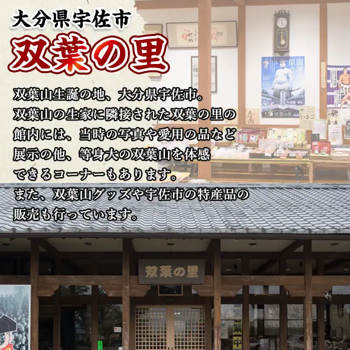双葉山ポロシャツ・L(1点) シャツ 服 スポーツ トップス ネイビー オリジナル グッズ ファッション 男女兼用【115612201】【SFPコンサルティング】