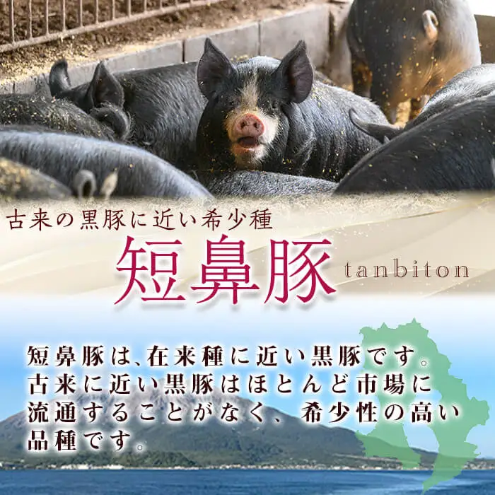 【ギフト対応】「福別府農場」鹿児島黒豚しゃぶしゃぶ（ロース・肩ロース・バラ 各200ｇ） お鍋 冷しゃぶ しゃぶしゃぶ 焼きしゃぶ 黒豚 ロース 肩ロース カタロース 豚バラ バラ 小分け 国産 鹿児島県産 a5-311