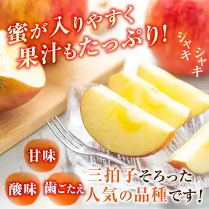  ≪先行受付≫ふじりんご 5kg パック詰め（特秀）【2026年11月中旬～順次発送予定】 057-001