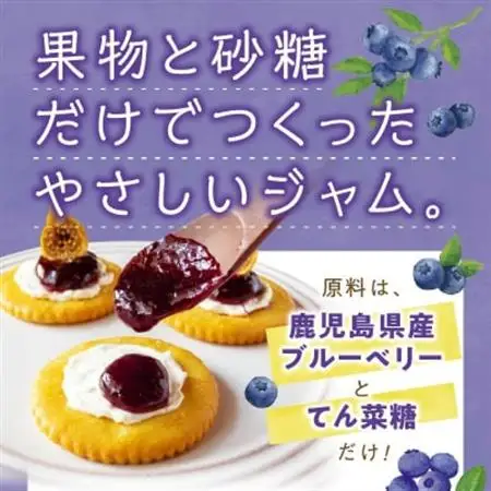 ブルーベリージャム 250g×4個【1186202】