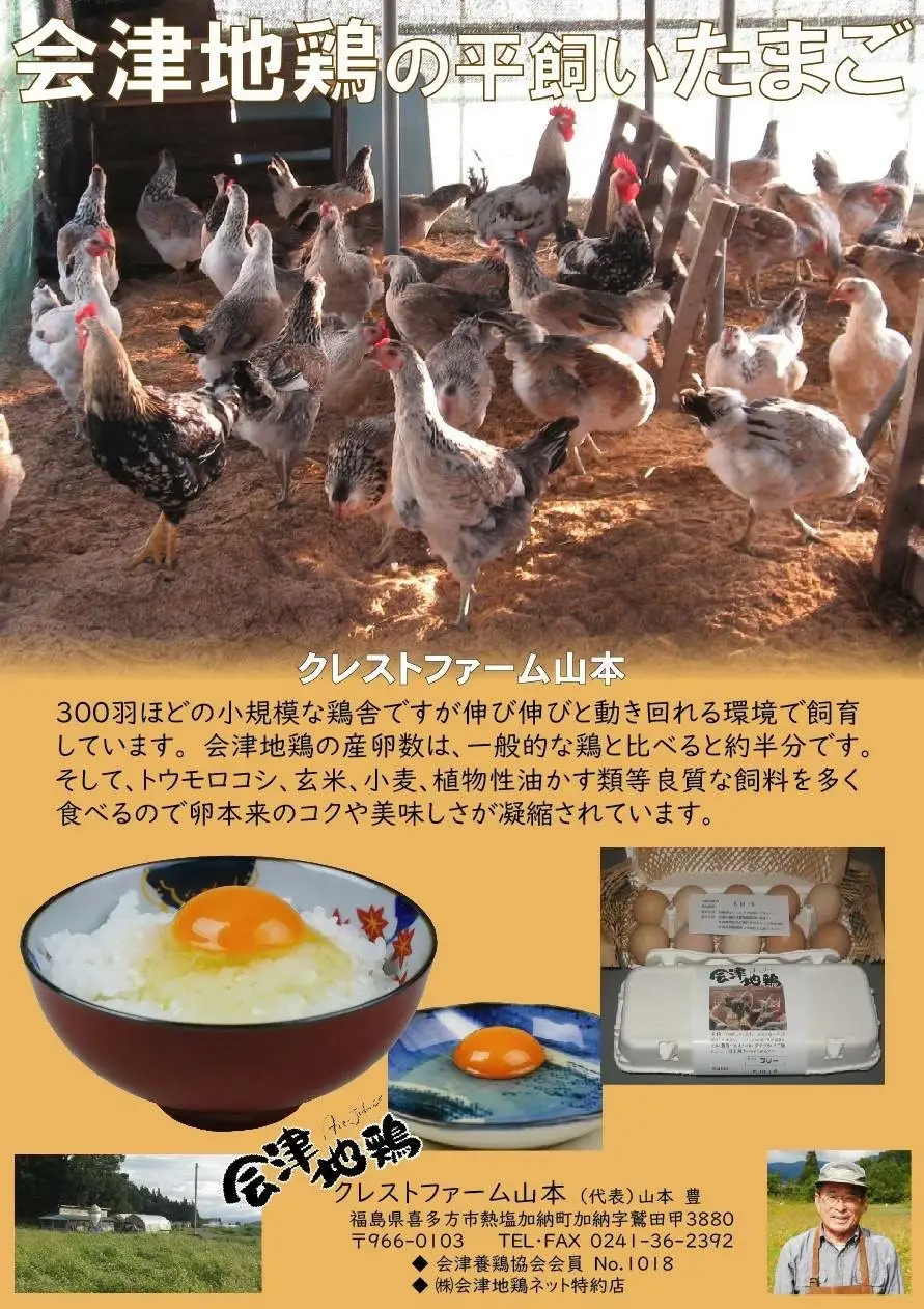 会津地鶏卵定期便（1箱20個）5ヶ月間　【07208-0171】