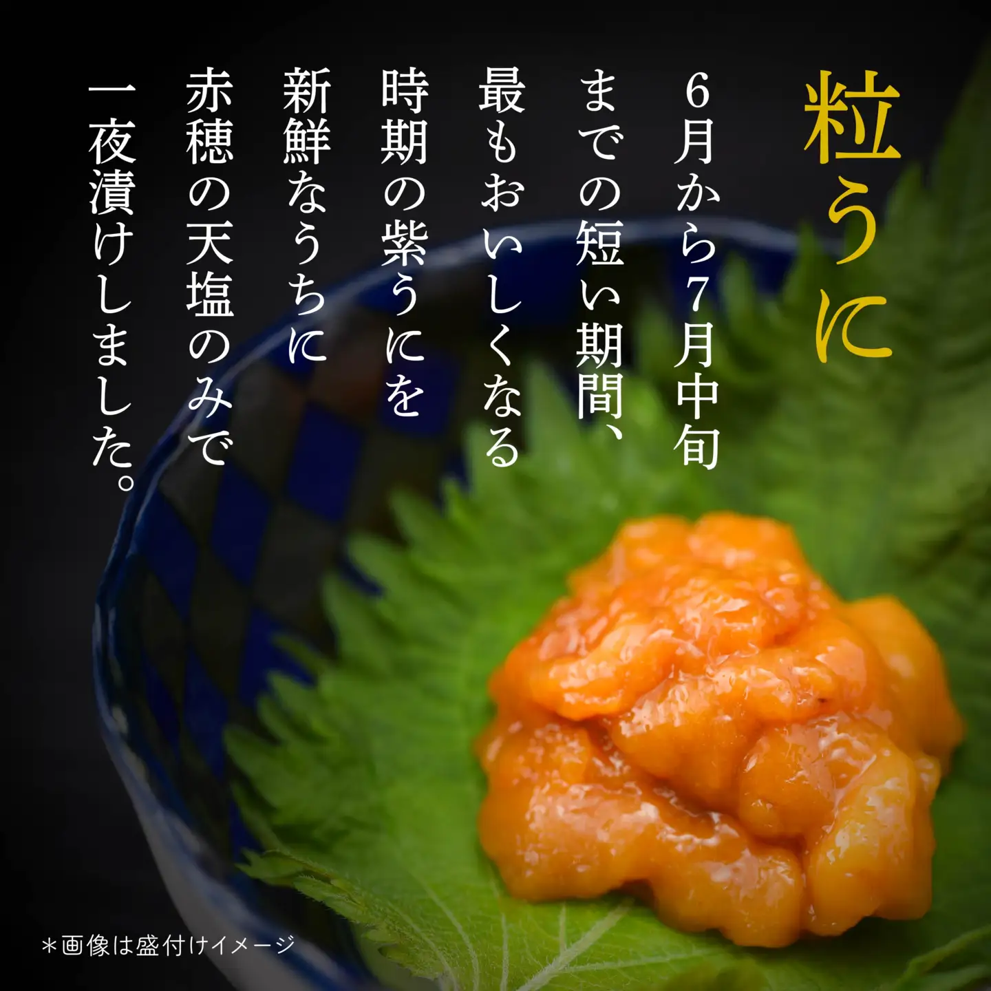 八戸 うに 2種セット 粒うに (紫) 焼うに　