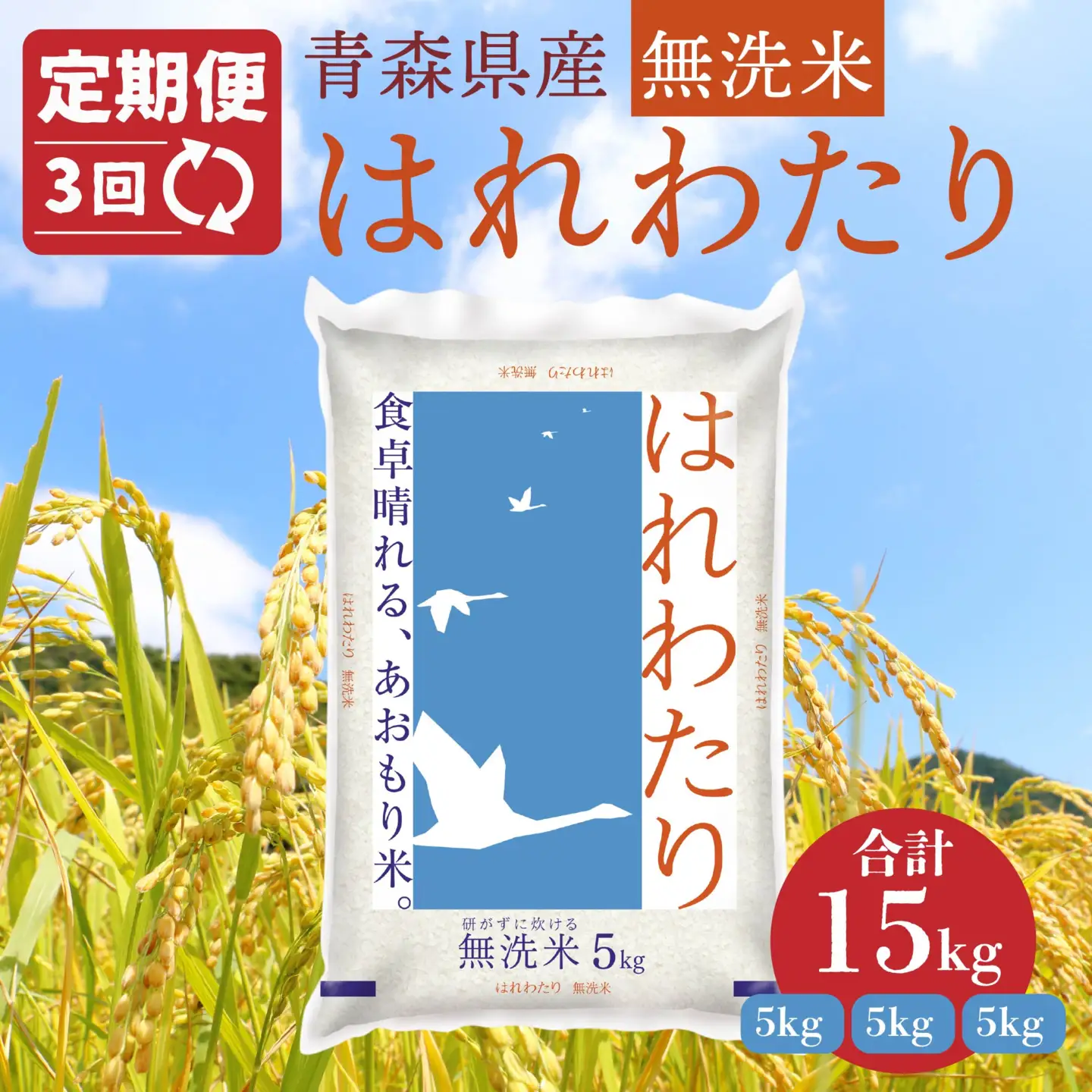 令和8年産 【3か月定期便】青森県産 無洗米 はれわたり 5kg 3回合計15kg あおもり米 精米 白米 お米 ライケット 青森県 八戸市