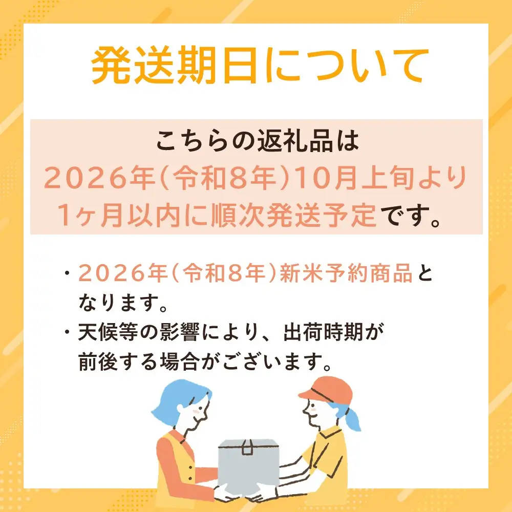 【令和8年産新米予約】南魚沼君沢産こしひかり　白燦々　10kg　【玄米】（従来品種）【銘柄米 ブランド米 玄米 こしひかり コシヒカリ 魚沼産 新潟米 産地直送 お米 米 こめ コメ ご飯 御飯 ごはん】【2026年10月初旬より1ヵ月以内に順次発送予定】