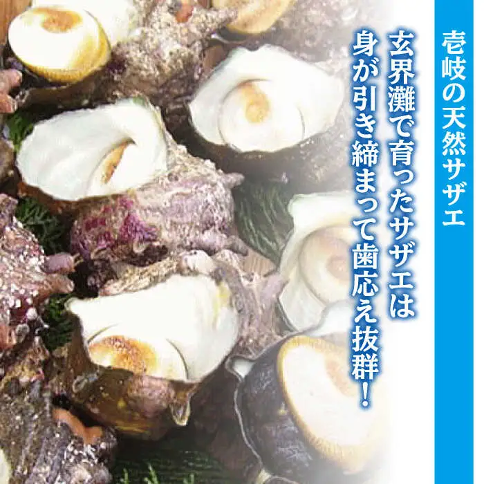 秘伝のタレ サザエのつぼ焼き ４パック　【サイズ・個数選択不可】）《壱岐市》【天下御免】 [JDB394]