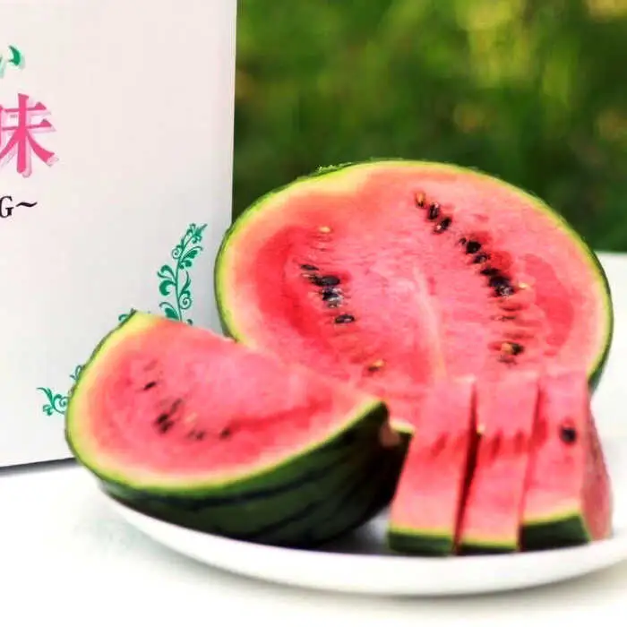 【先行予約】【初夏に実った贈り物】 小玉 スイカ 約4?4.5kg以上【なかむら農園】[ZBH004]