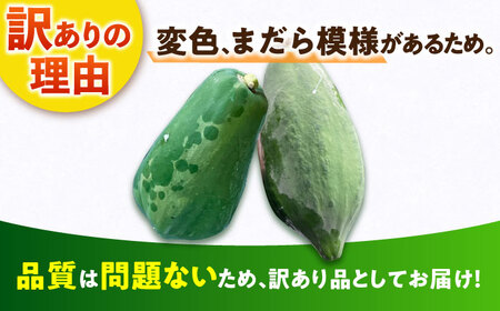 【訳あり】青パパイヤ[AFBK002]野菜 パパイヤ