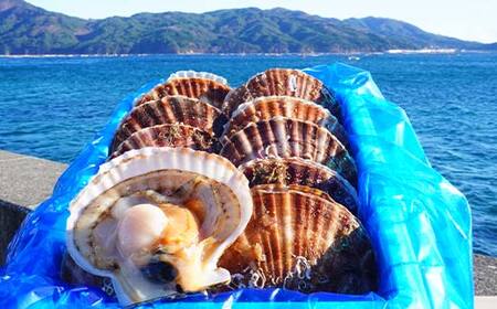 大福丸の殻付きホタテ10枚 【三陸山田産】【配送日指定不可】【沖縄・離島配送不可】 三陸山田 山田町 山田湾 海産品 帆立 二枚貝 YD-782