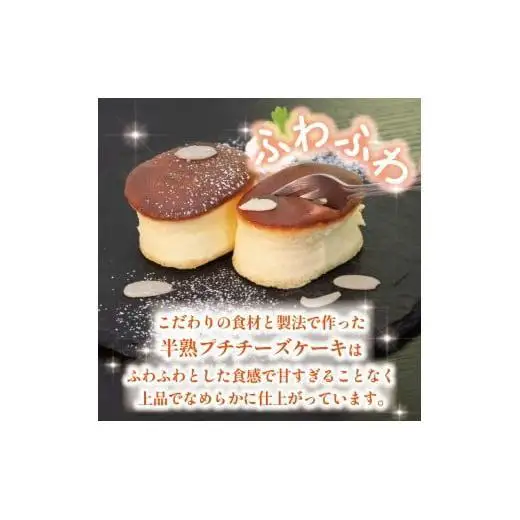 半熟ぷちチーズケーキ 10個 MNB146