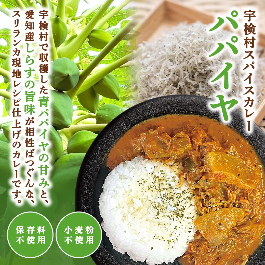 宇検村 スパイスカレー パパイヤ (10食セット)  本格 レトルトカレー パパイヤ グルテンフリー 化学調味料不使用 奄美大島 宇検村