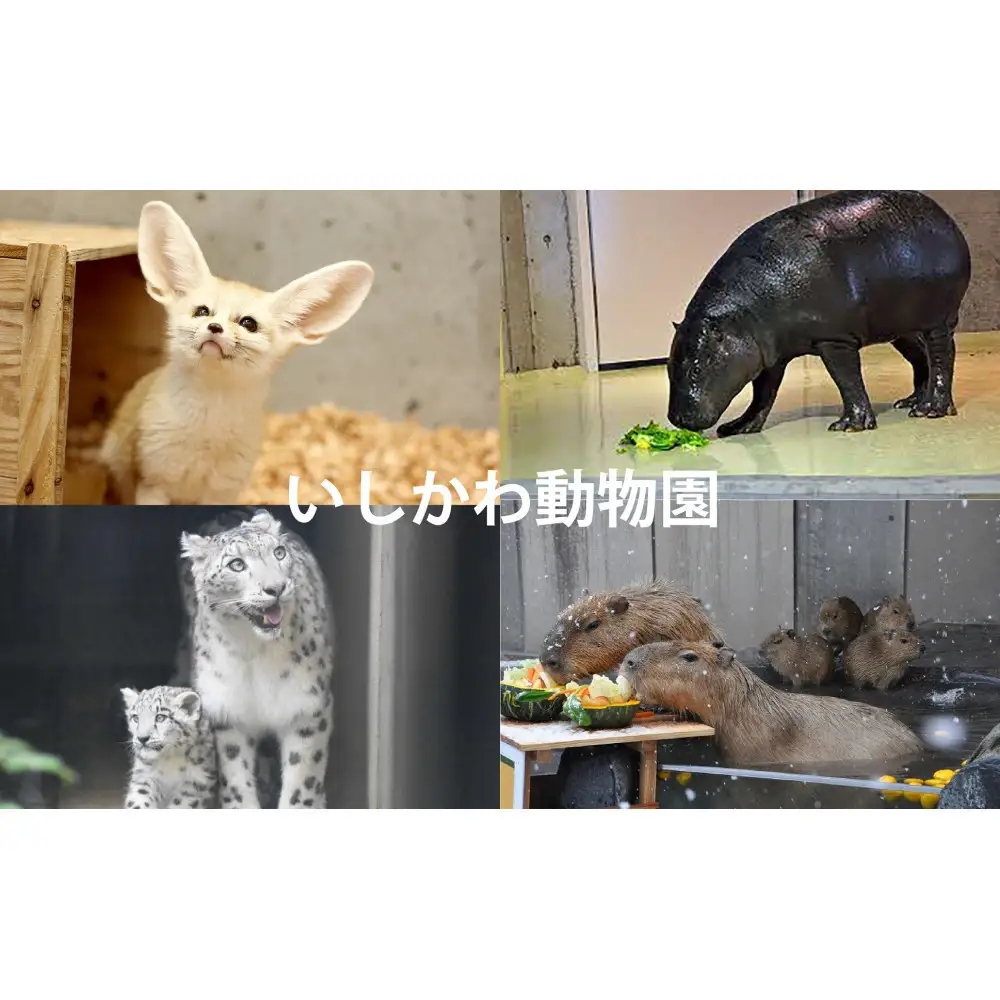 チケット いしかわ動物園ペア入園券（一般＋3歳以上中学生以下）石川県 能美市