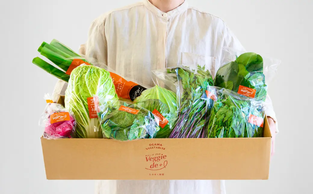 ベジプラ特選 旬の野菜セット Veggie de＋
