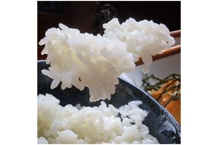 【令和7年産】新米 先行予約 5kg ×12回 京都・神前米 キヌヒカリ 5kg×12ヶ月 計60kg