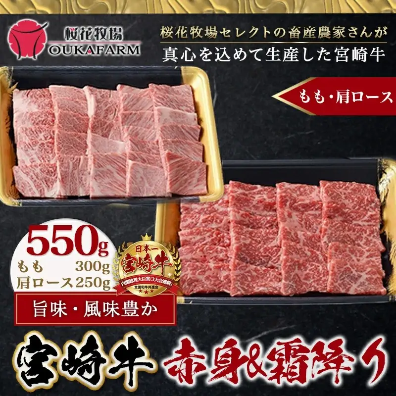 宮崎牛赤身＆霜降り【とろ旨カルビセット】550g〔17-6506〕_(都城市) 牛肉 牛もも焼肉用(300g×1パック) 牛肩ロース焼肉用(250g×1パック) 合計550グラム 赤身肉 霜降り肉 ギフト 贈答用