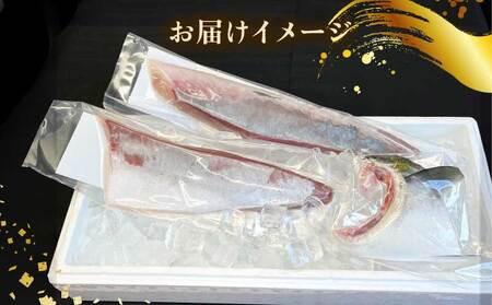鰤 冊 半身分 約 1.2kg 短冊 有限会社 アクアプラス 鰤 D030-090003