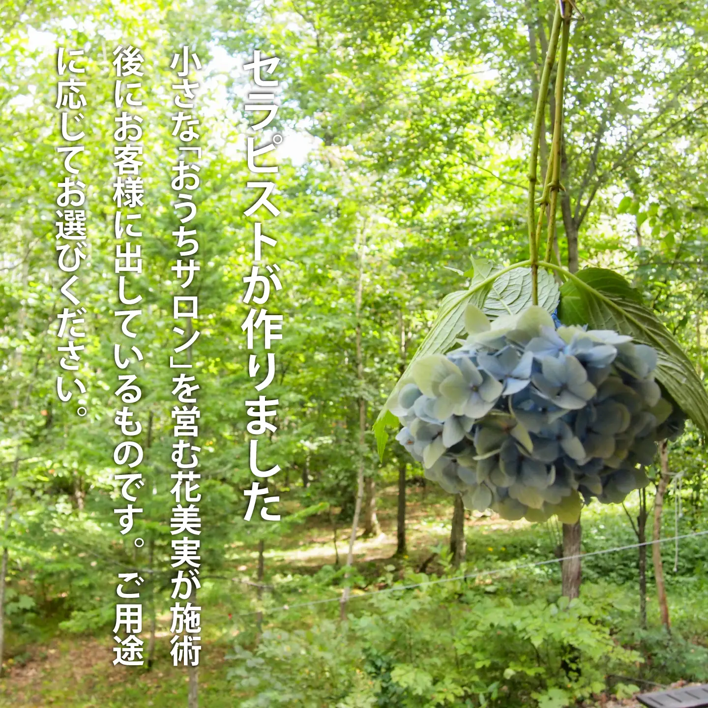 ハーブティー 3種類セット （各2個入り） Wリフレッシュ／ゆったりリラックス／ 爽快ブレンド 北海道産 ハーブ【AF-006】