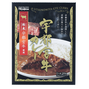 宇都宮牛カレー 200g×5個セット