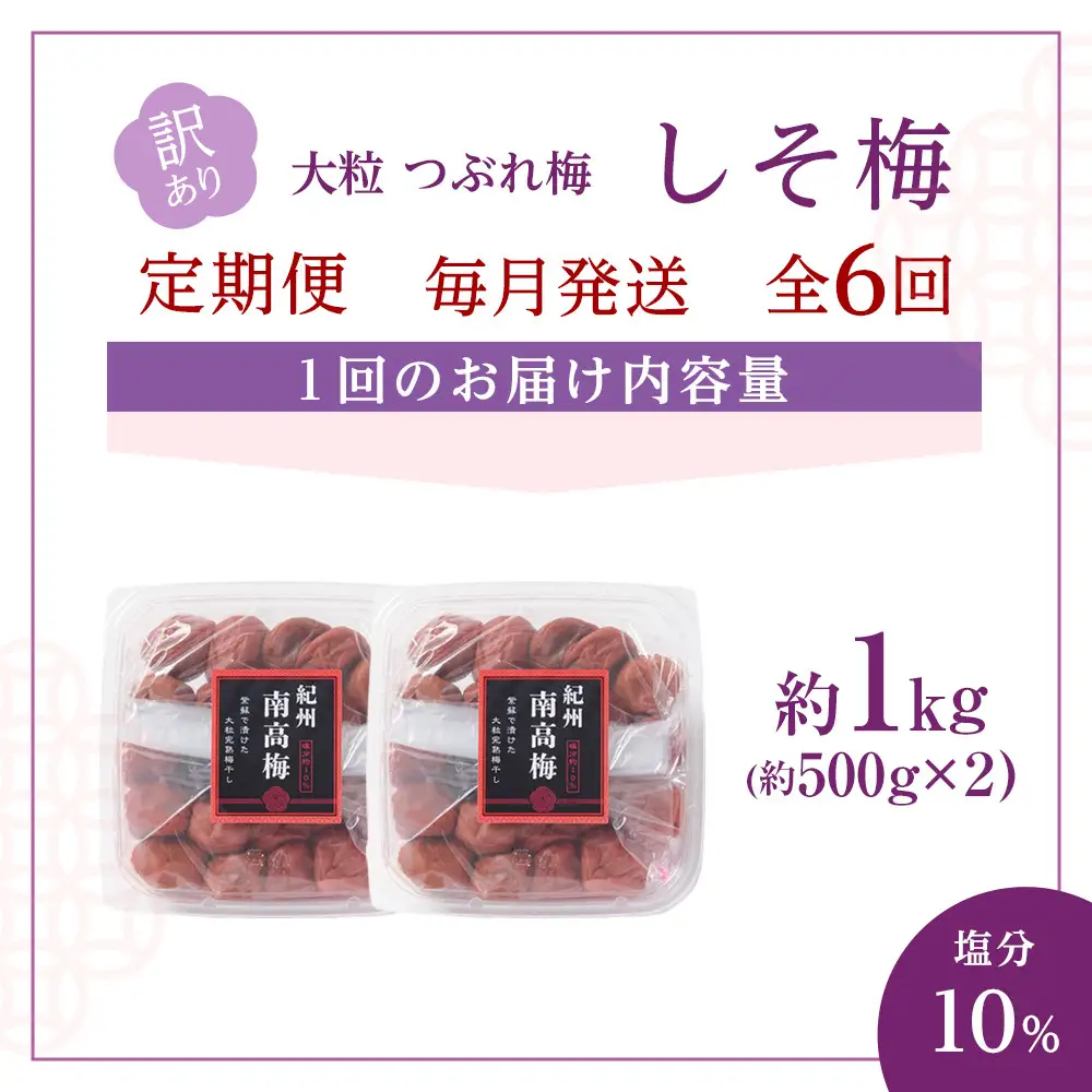 訳あり 梅干し 大粒 大玉 つぶれ梅 しそ梅 約1kg (500g×2)  × 6回 塩分10% [ 定期便 毎月発送・全6回 ]