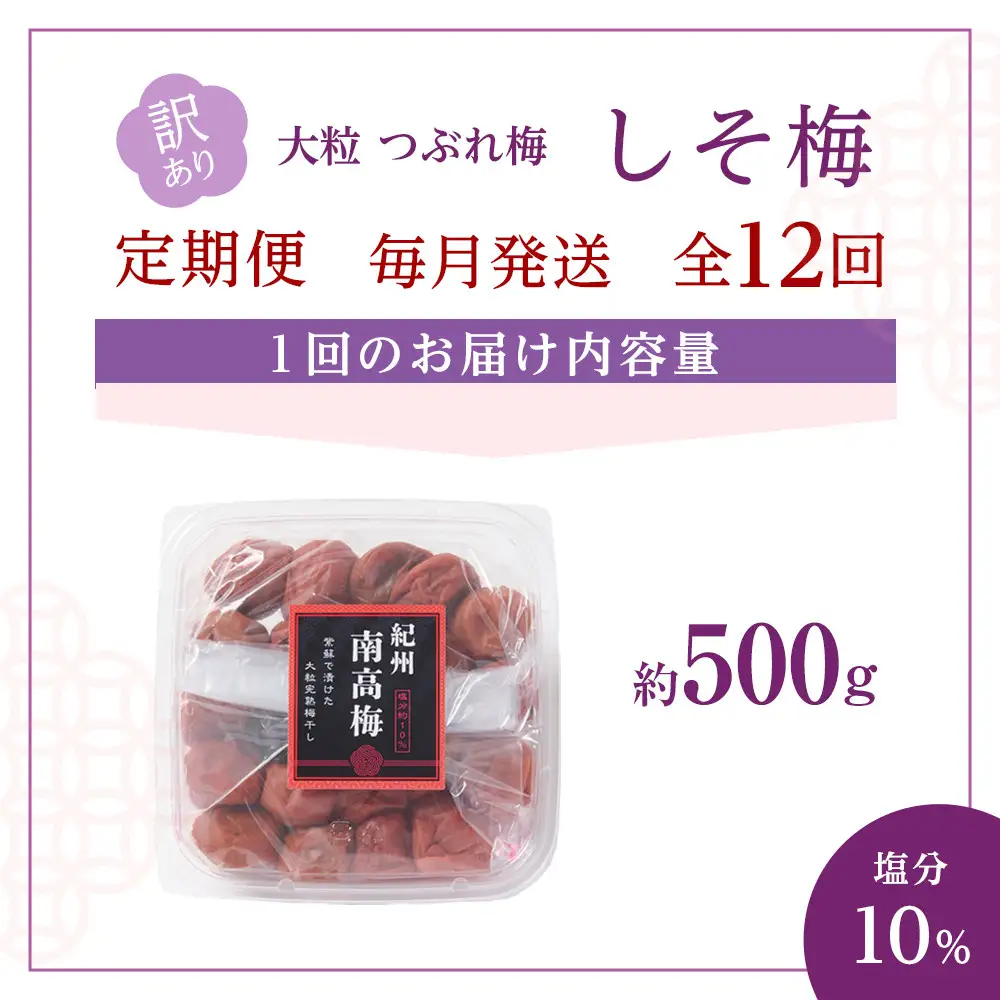 訳あり 梅干し 大粒 大玉 つぶれ梅 しそ梅 約500g × 12回 塩分10％ [ 定期便 毎月発送・全12回 ]