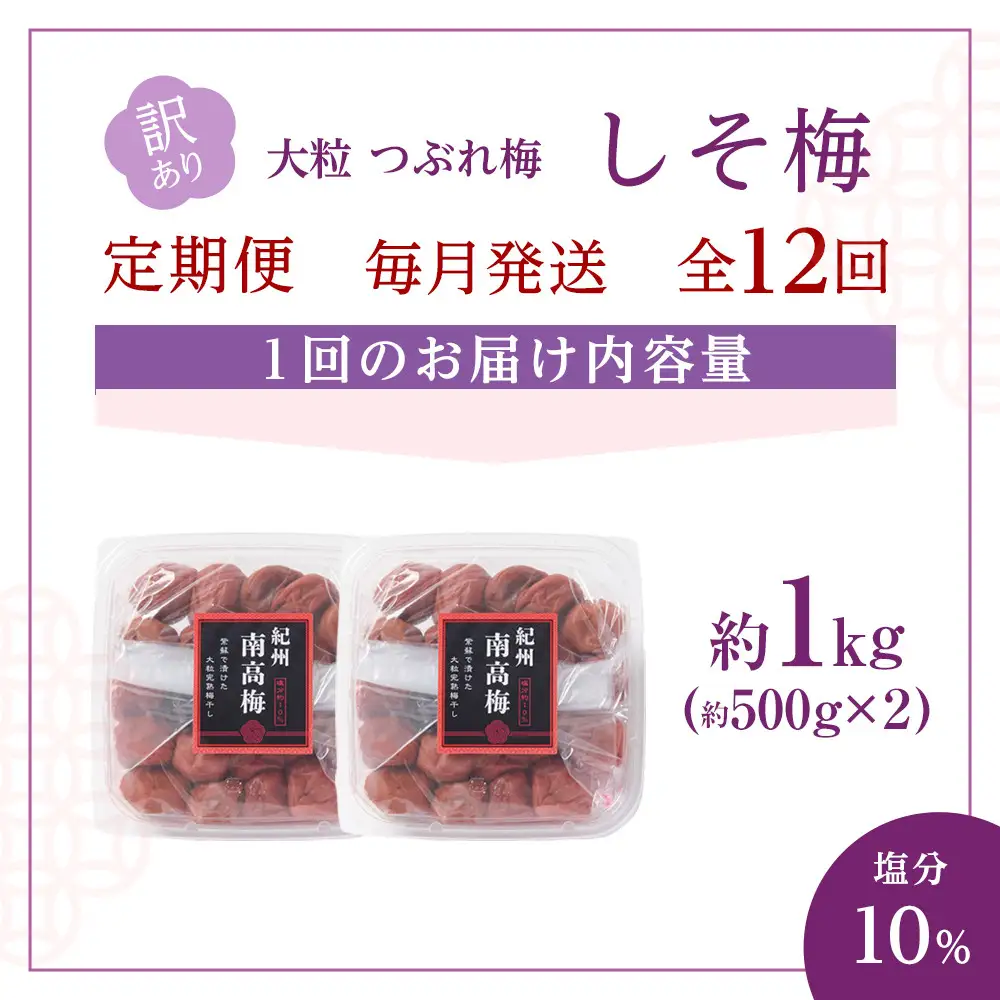 訳あり 梅干し 大粒 大玉 つぶれ梅 しそ梅 約1kg (500g×2)  × 12回 塩分10% [ 定期便 毎月発送・全12回 ]