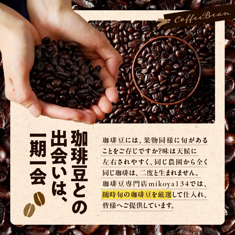 南国薩摩 熟成珈琲 豆（ 100g × 4種 ） K374-001_03 コーヒー