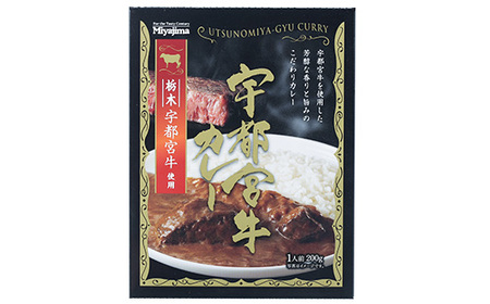 宇都宮牛カレー 200g×15個セット