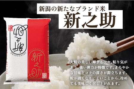 【定期便3ヶ月毎月お届け】新潟県産 新之助 玄米パックライス（150g×20個入）