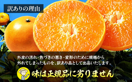 せとか 訳あり 2.5kg（Lから4Lサイズ混合）せとか[AGAR012]