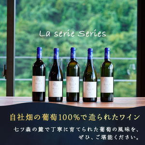 自社葡萄を使用したワインセット 750ml×2本 ピノノワール ソーヴィニヨンブラン 赤ワイン 白ワイン ミディアムボディ 辛口 ぶどう ブドウ アルコール ギフト 宮城県産 みらいファームやまと 【了美ワイナリー】ta497