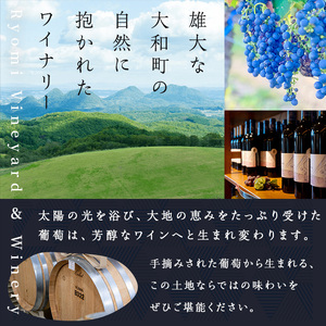 了美ワイン ゼフィール3本セット 750ml×3本 赤ワイン 白ワイン ロゼ 甲州 飲み比べ アルコール ギフト ワインセット みらいファームやまと 【了美ワイナリー】ta498