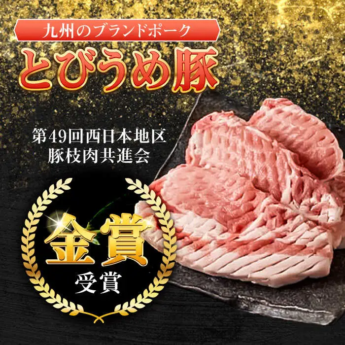 大分県日田産 とびうめ豚 ロース とんかつ用 140g×4枚 日田市 豚肉 豚 ロース ブランド豚 とんかつ [ARCM002]
