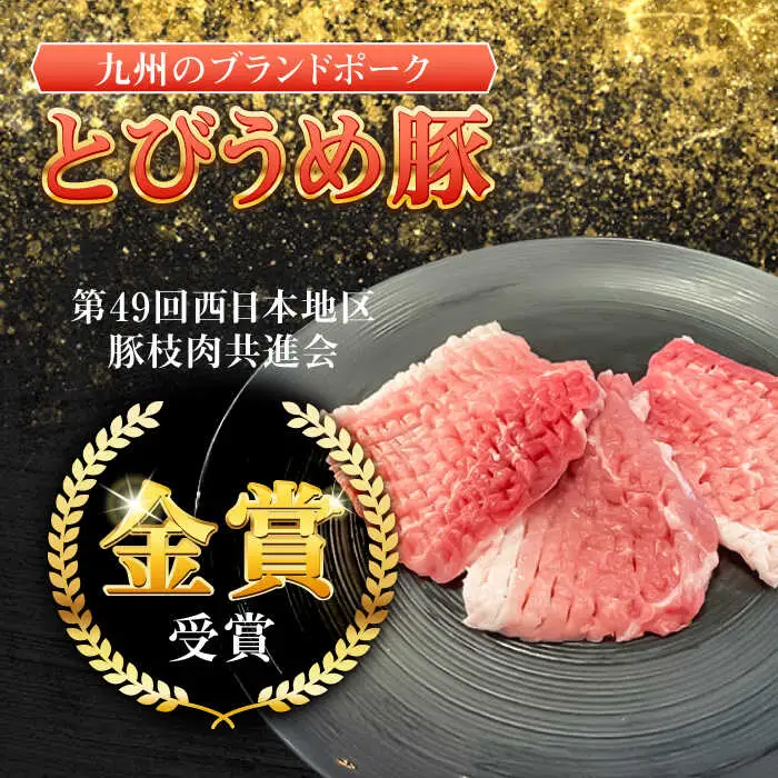大分県日田産 とびうめ豚 モモ とんかつ用 100g×10枚 計1kg 日田市 豚肉 豚 ロース ブランド豚 とんかつ [ARCM003]