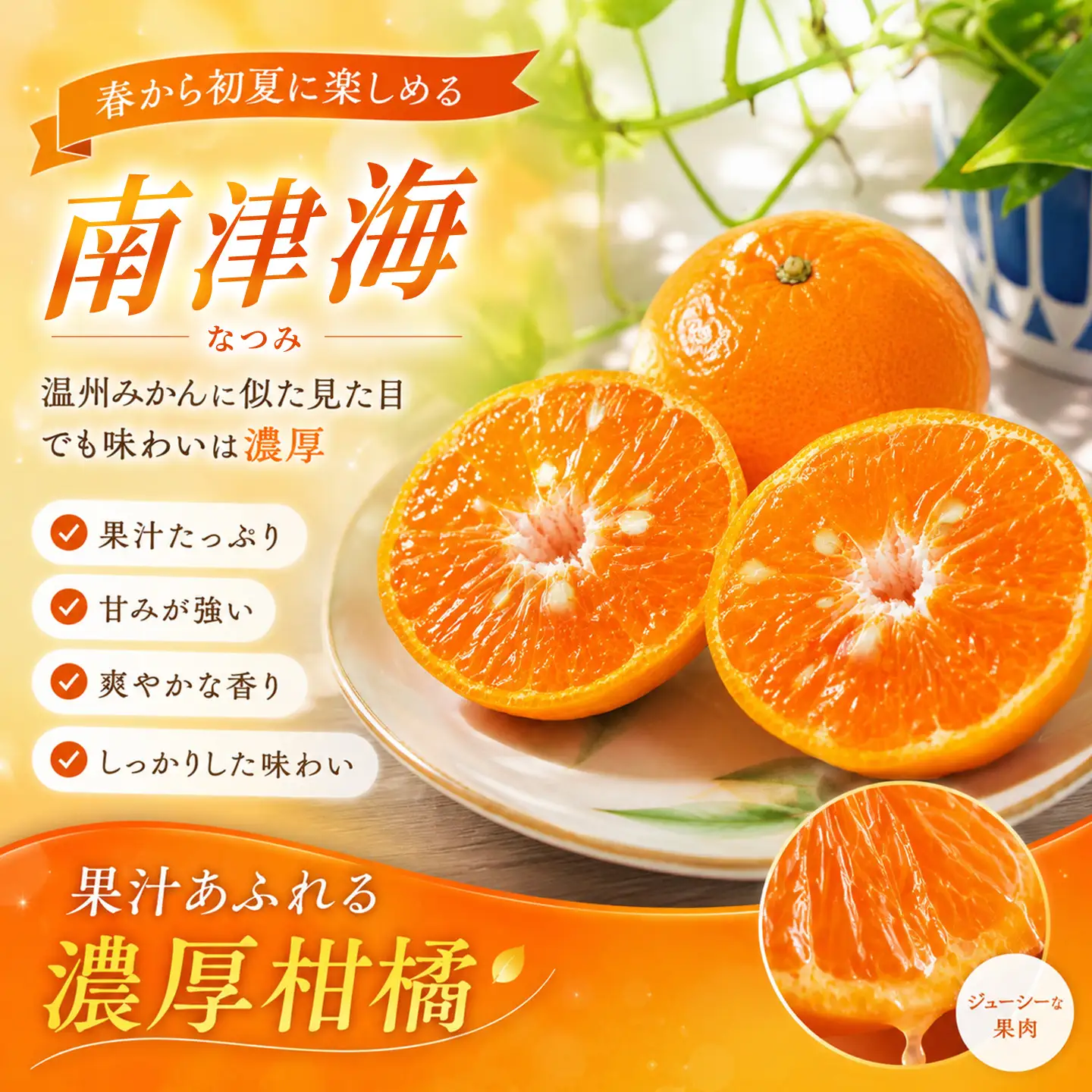 【2027年4月上旬より発送開始】南津海(なつみ)みかん 2.5kg(H116155)