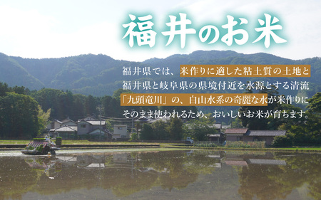 令和7年産 万田酵素で育てた健康米 福井市産こしひかり5kg [A-150002] / こしひかり