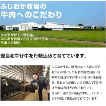 【ロース750g】サイコロステーキ　阿波牛黒毛和牛未経産牛(処女牛)をふじおか牧場から直送でお届け!_肉 ステーキ 牛肉 ビーフステーキ_【配送不可地域：離島】【1528701】