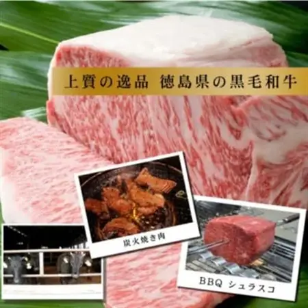 【特選ギフト1kg】サーロイン2枚＆ロース焼肉500g　阿波牛黒毛和牛未経産牛(処女牛)_肉 ステーキ 牛肉 ビーフステーキ  肉 焼肉 牛肉 やきにく ヤキニク バーベキュー_【配送不可地域：離島】【1528705】