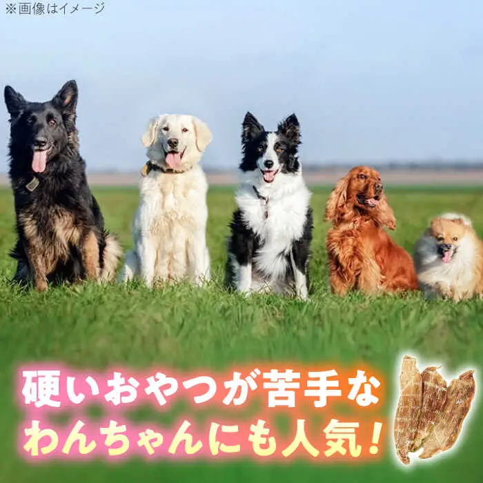 わんこのおやつ（犬）無添加手づくり 鶏むねジャーキー5袋 糸島市 / mogmog factory [AXO001] ペット おやつ