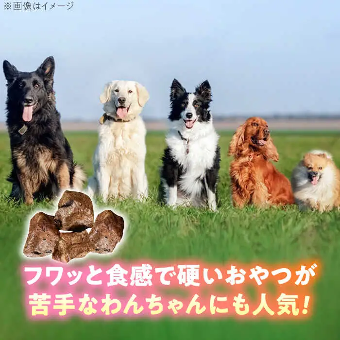 わんこのおやつ（犬）無添加手づくり 馬肺ジャーキー5袋 糸島市 / mogmog factory [AXO004] ペット おやつ