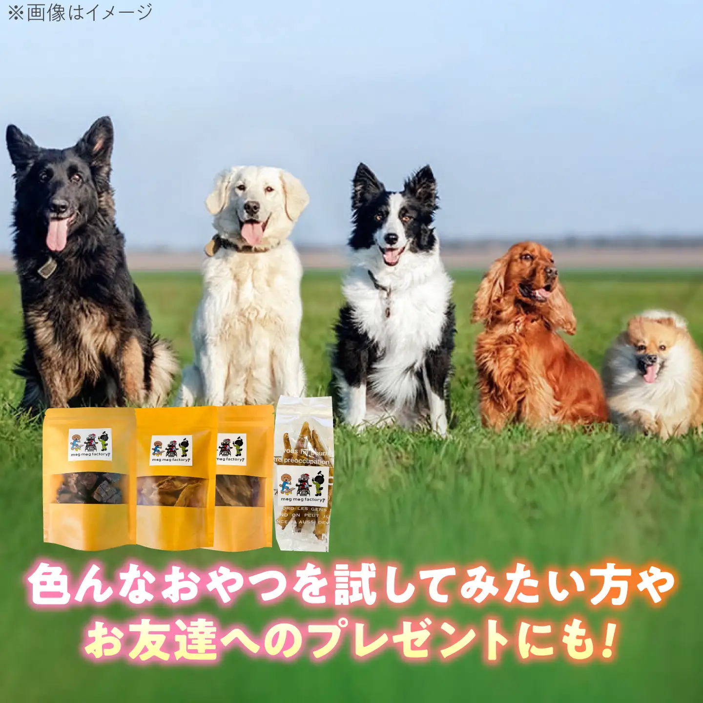 わんこのおやつ（犬）無添加手づくり 4種詰め合わせセット 糸島市 / mogmog factory [AXO005] ペット おやつ