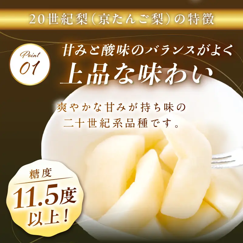 【先行予約／数量限定100】京のブランド産品・京たんご梨（20世紀梨） 5kg（2026年9月上旬～発送）
