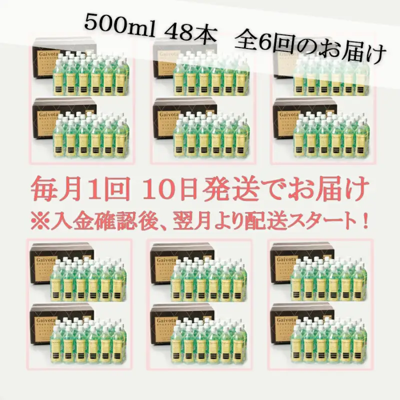 まろやか軟水 贅沢シリカ水を定期便で【Gaivota（ガイヴォータ）定期便：2箱(500ml×48本)×6回】＜ 北のハイグレード食品 天然シリカ水 ミネラルウォーター 軟水 北海道産 北海道 乙部町 天然水 美容 ケイ素 無添加 シリカ ガイヴォータ 美肌 ミネラル 口当たり まろやか 備蓄 災害用 非常用 リピーター 6か月 備蓄 災害用 非常用 サブスク ＞