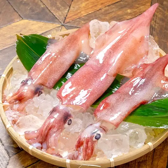 船上スミ抜きケンサキイカ 700g以上（3～5杯）【いか 剣先いか 700g以上 烏賊 イカ ケンサキイカ 贅沢 刺身 おかず おつまみ お酒 冷凍 地物 天然物 新鮮 真空パック 旨い 海産物 魚介類 獲れたて】